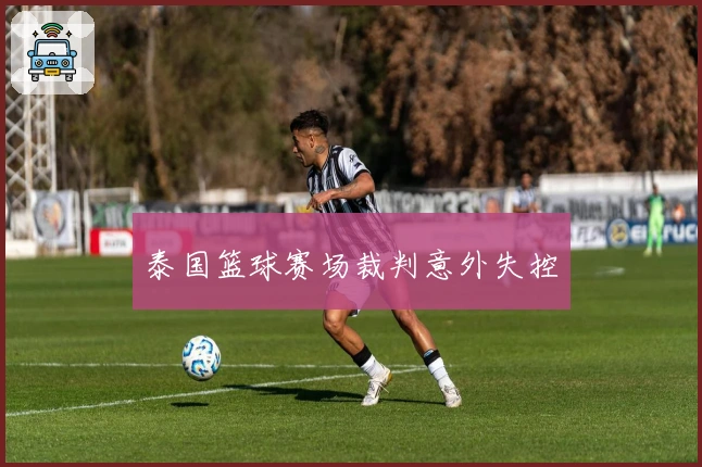 泰国篮球赛场裁判意外失控